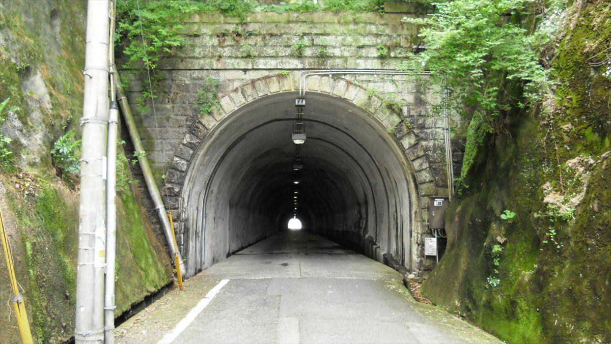 桜隧道