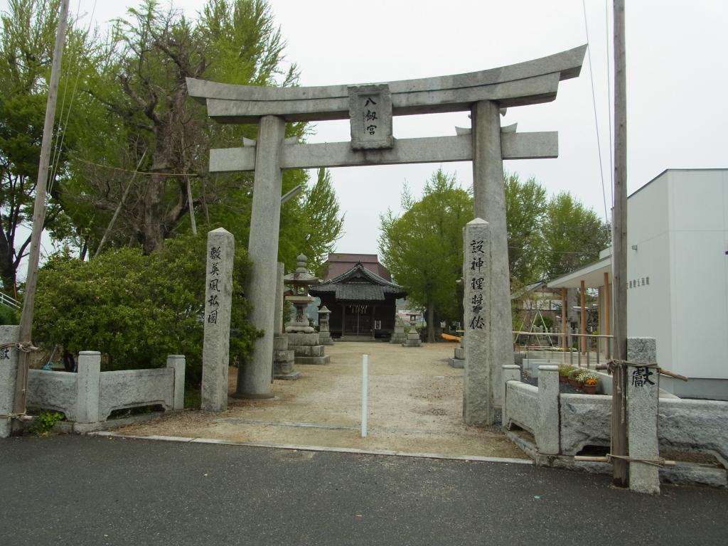 八剱神社の大銀杏