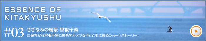 さざなみの風景　曽根干潟