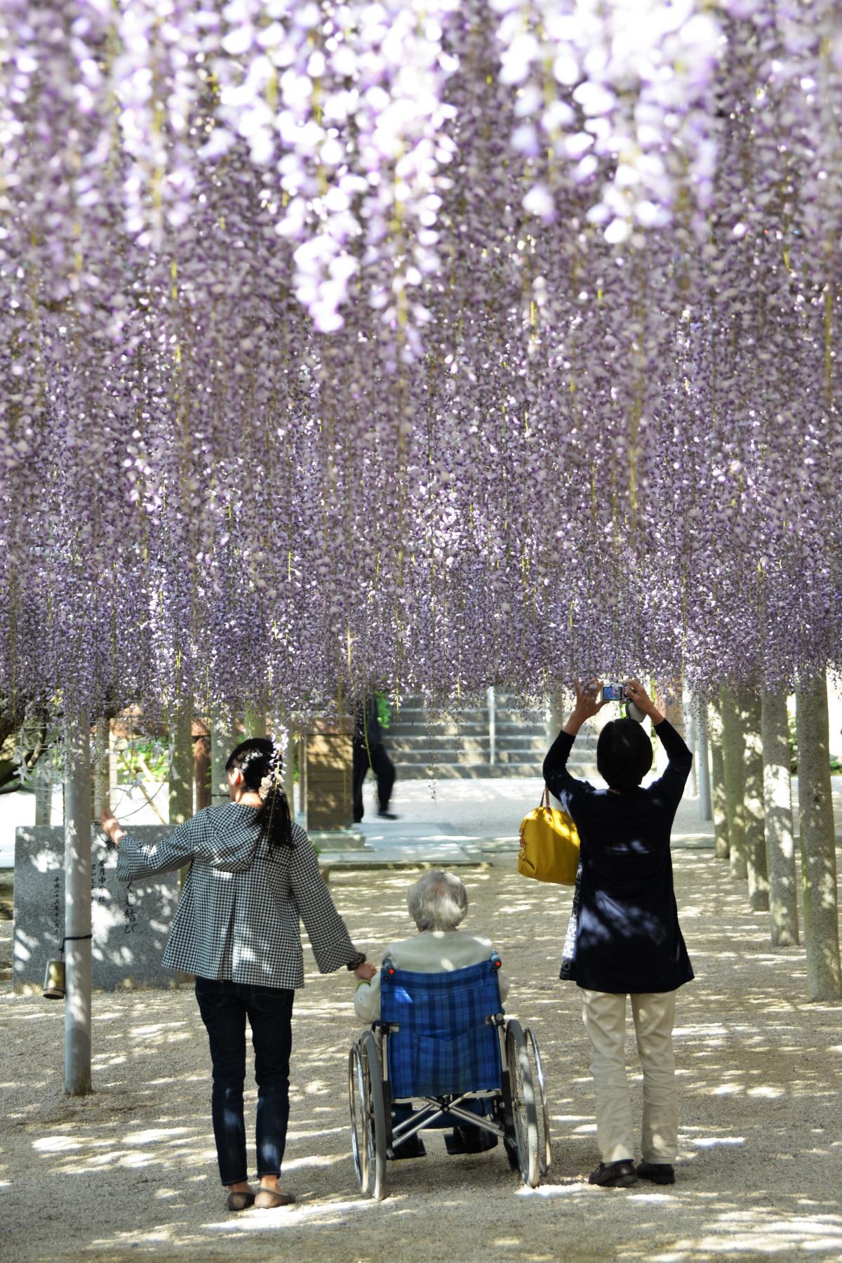 和み（吉祥寺にて）