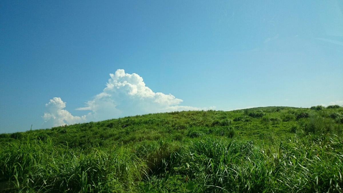 平尾台の魅力