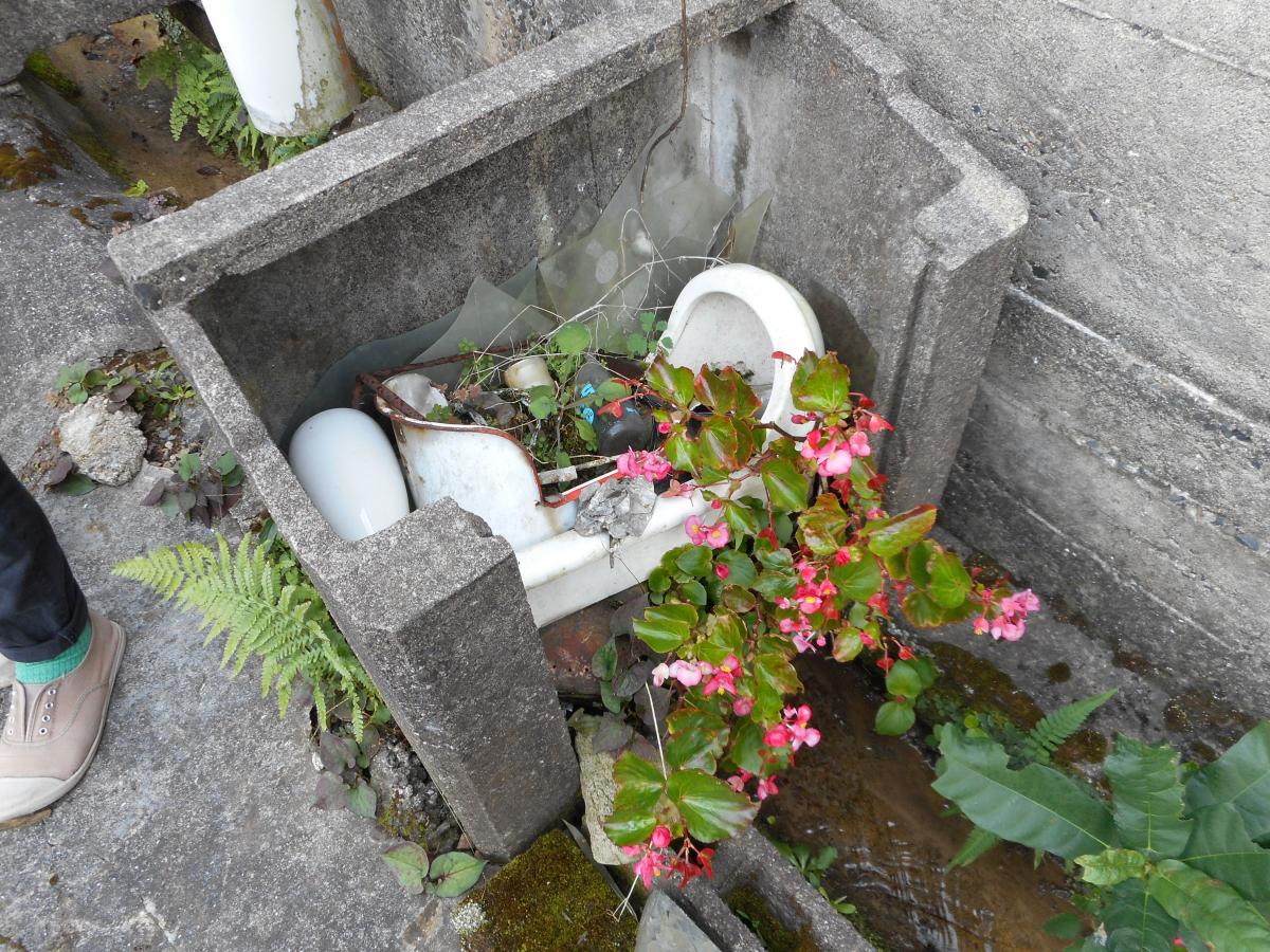 栄養満タン