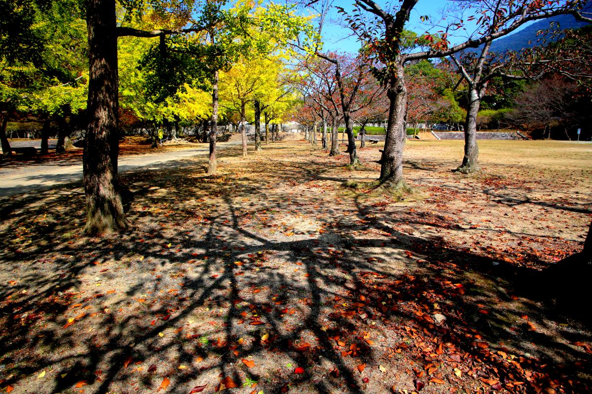 足立（平和）公園