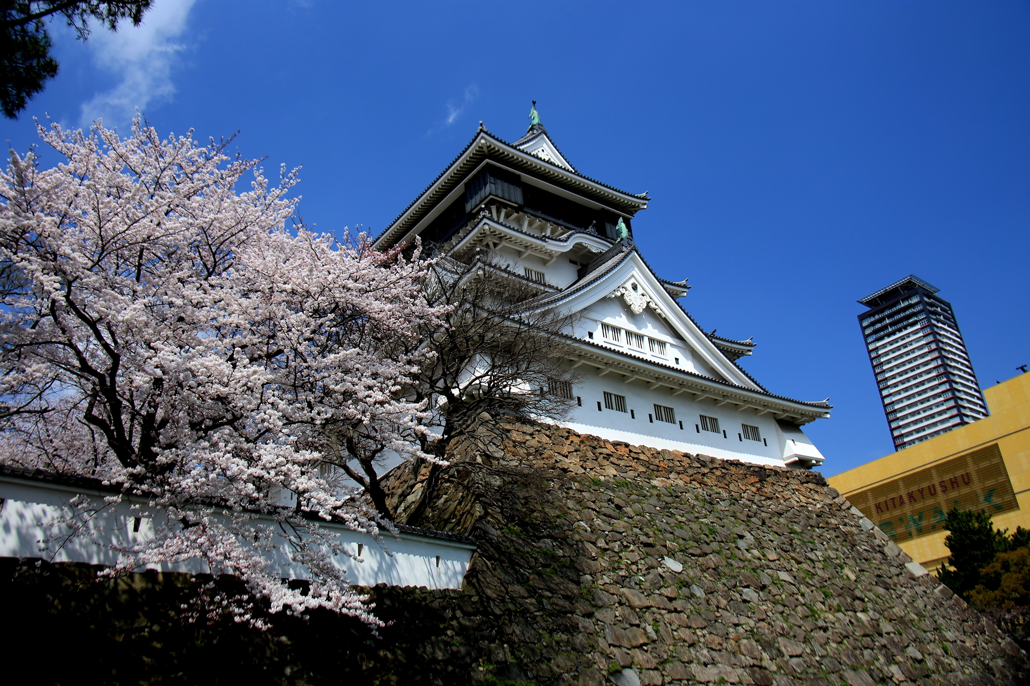 小倉城桜まつり 常設展示室 北九州市 時と風の博物館