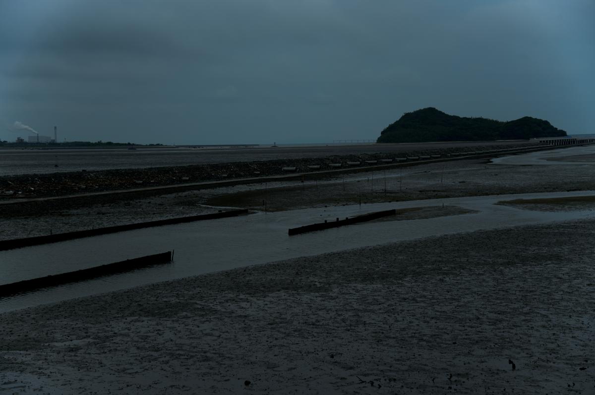 梅雨空の曽根干潟