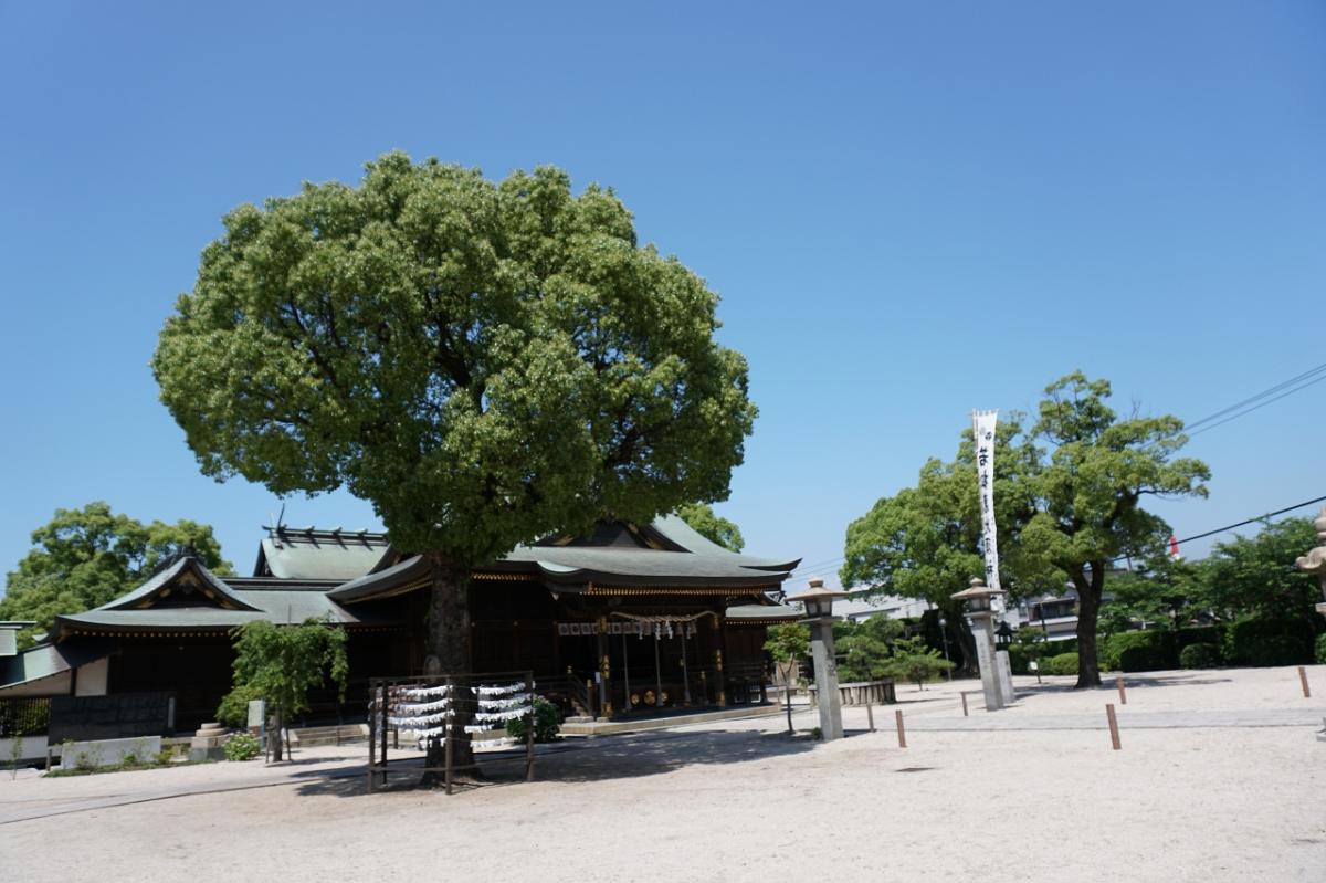 若松恵比寿神社と若戸大橋