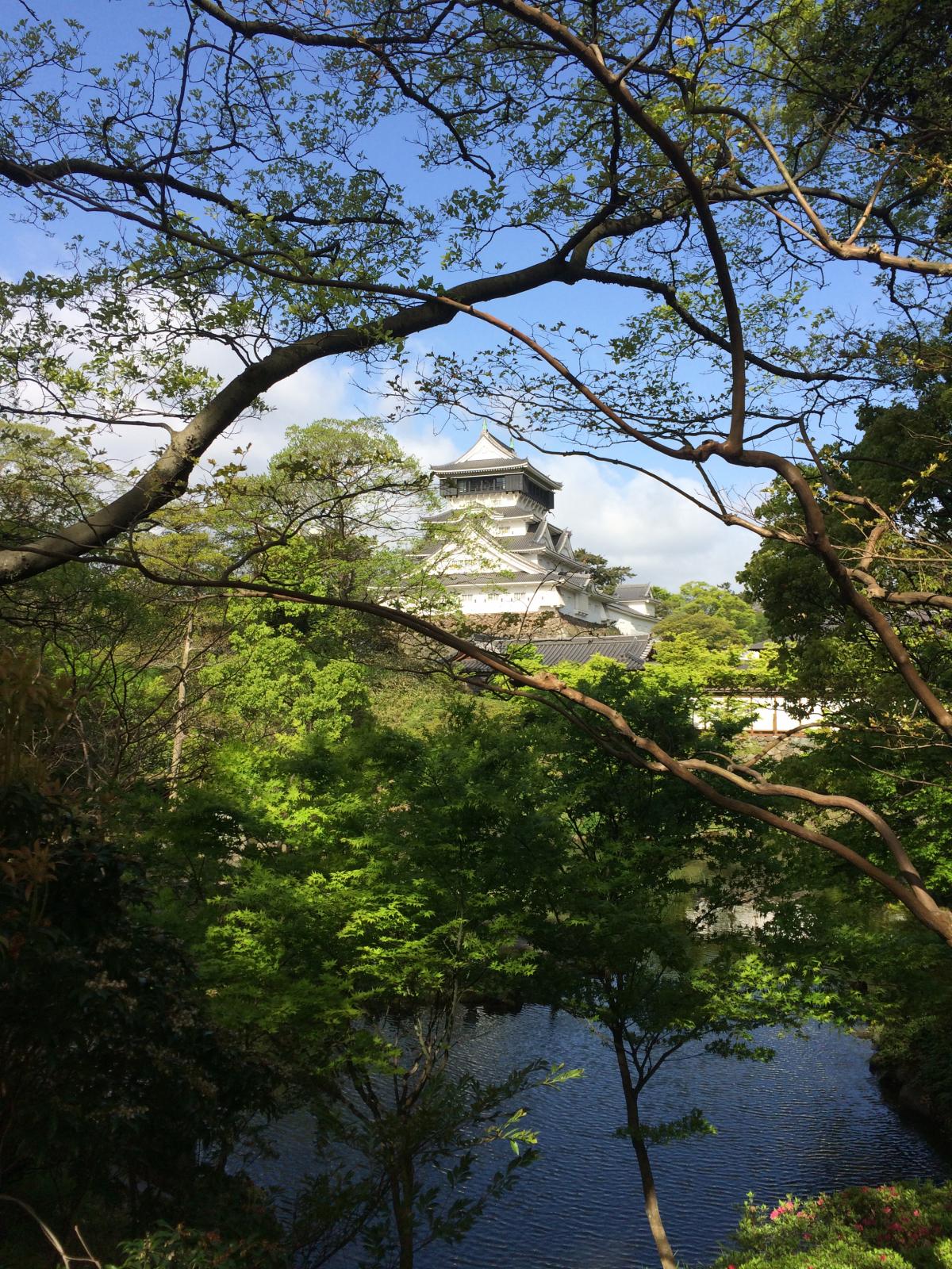 小倉城庭園からの小倉城