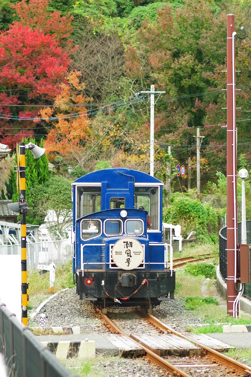 秋のトロッコ列車