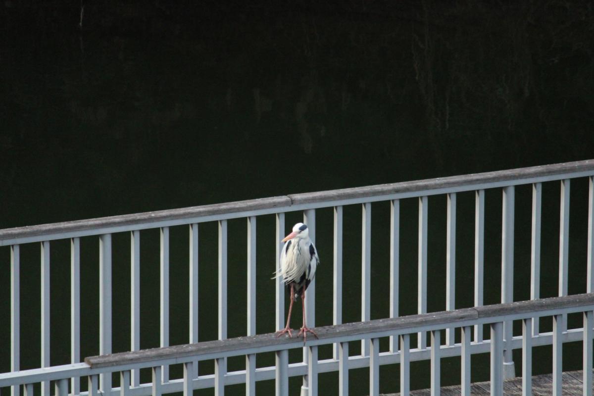 瀬板の森公園にて…