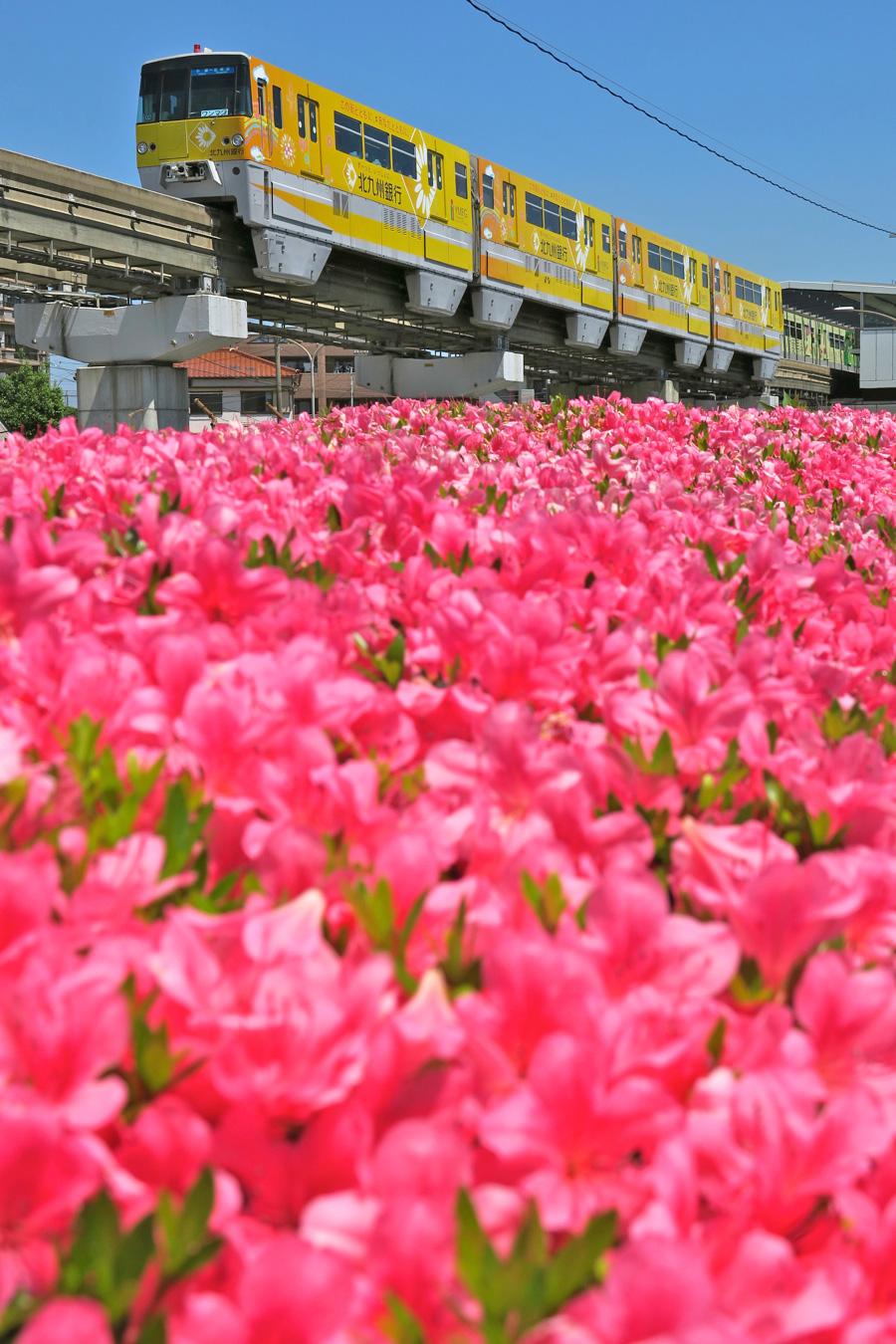 モノレール城野駅近くの花々