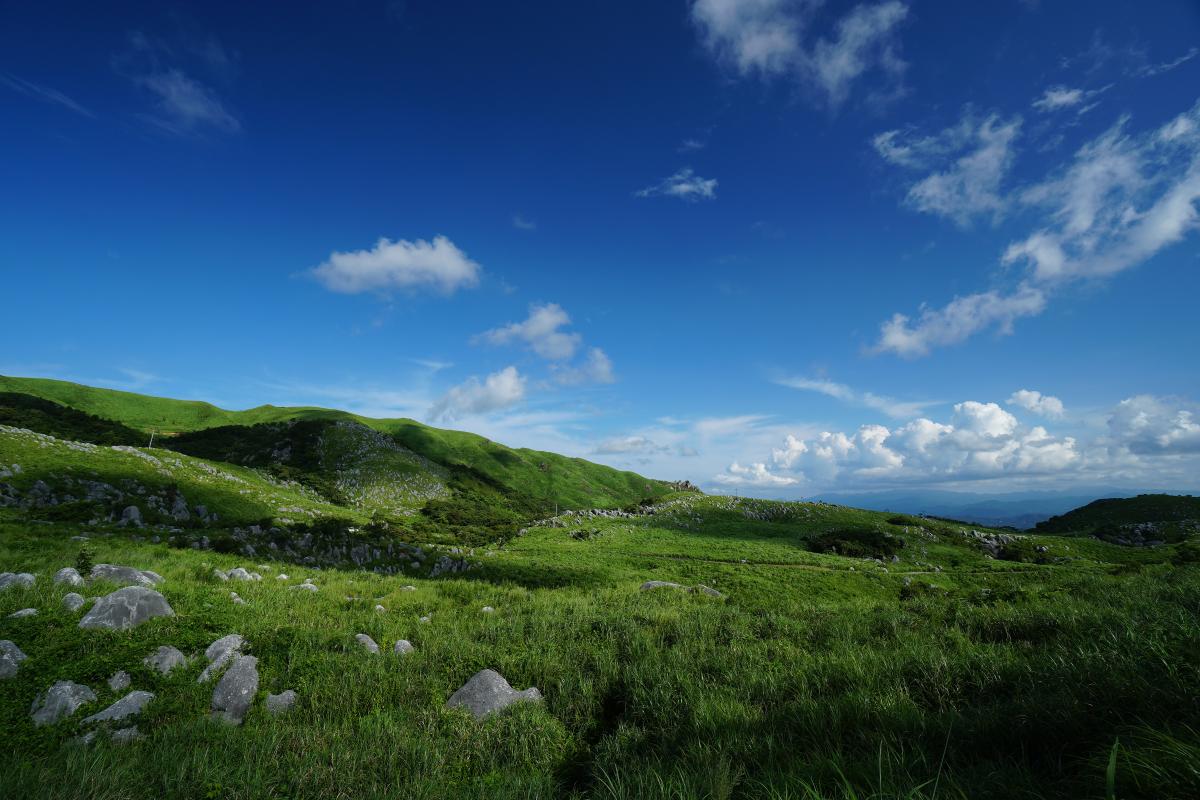 ある夏の快晴の平尾台