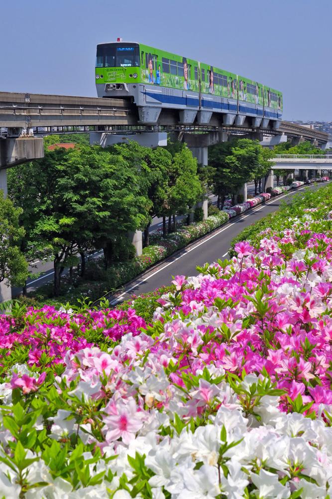 徳力嵐山口駅近くのツツジとモノレール