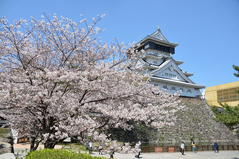 桜満開の小倉城 常設展示室 北九州市 時と風の博物館