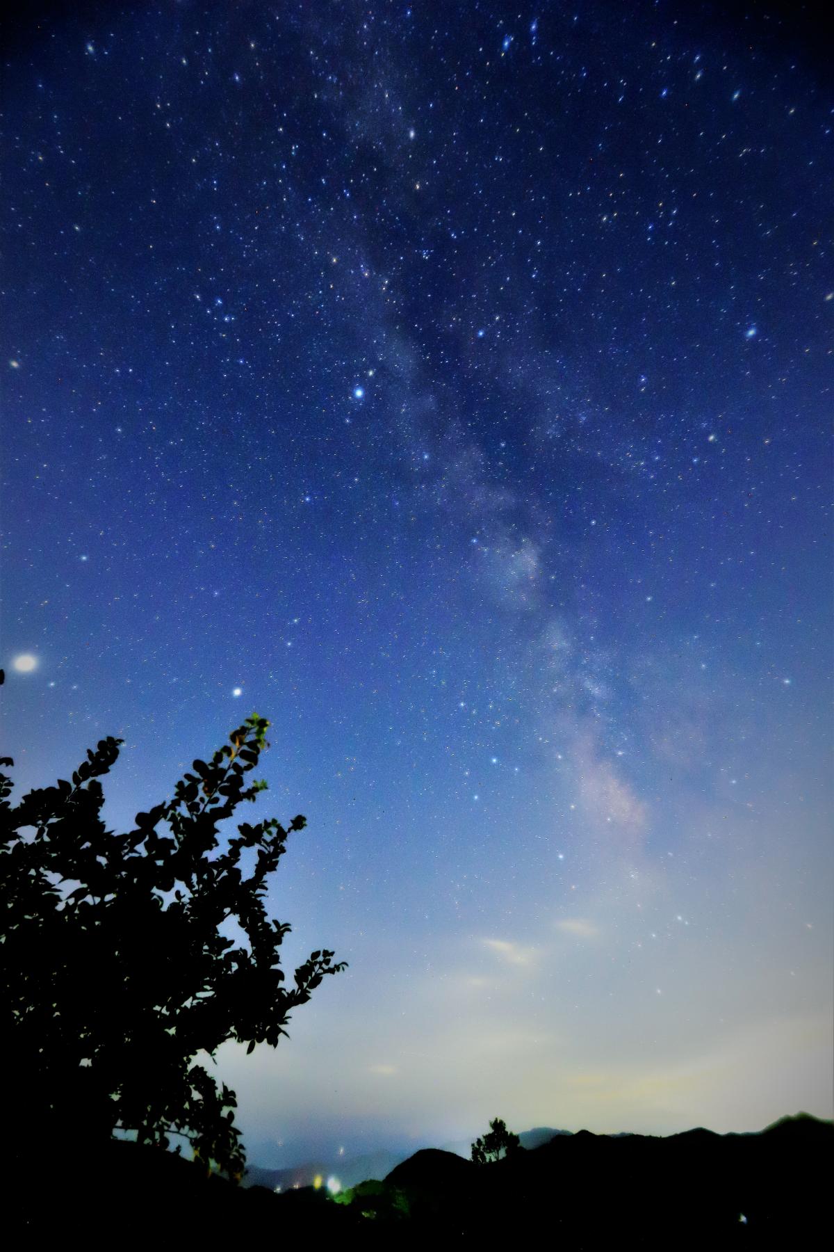 星降る夜に