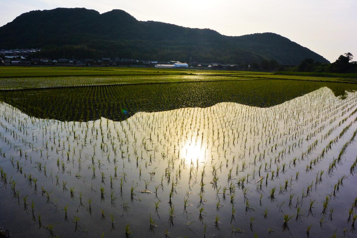 朝の景色