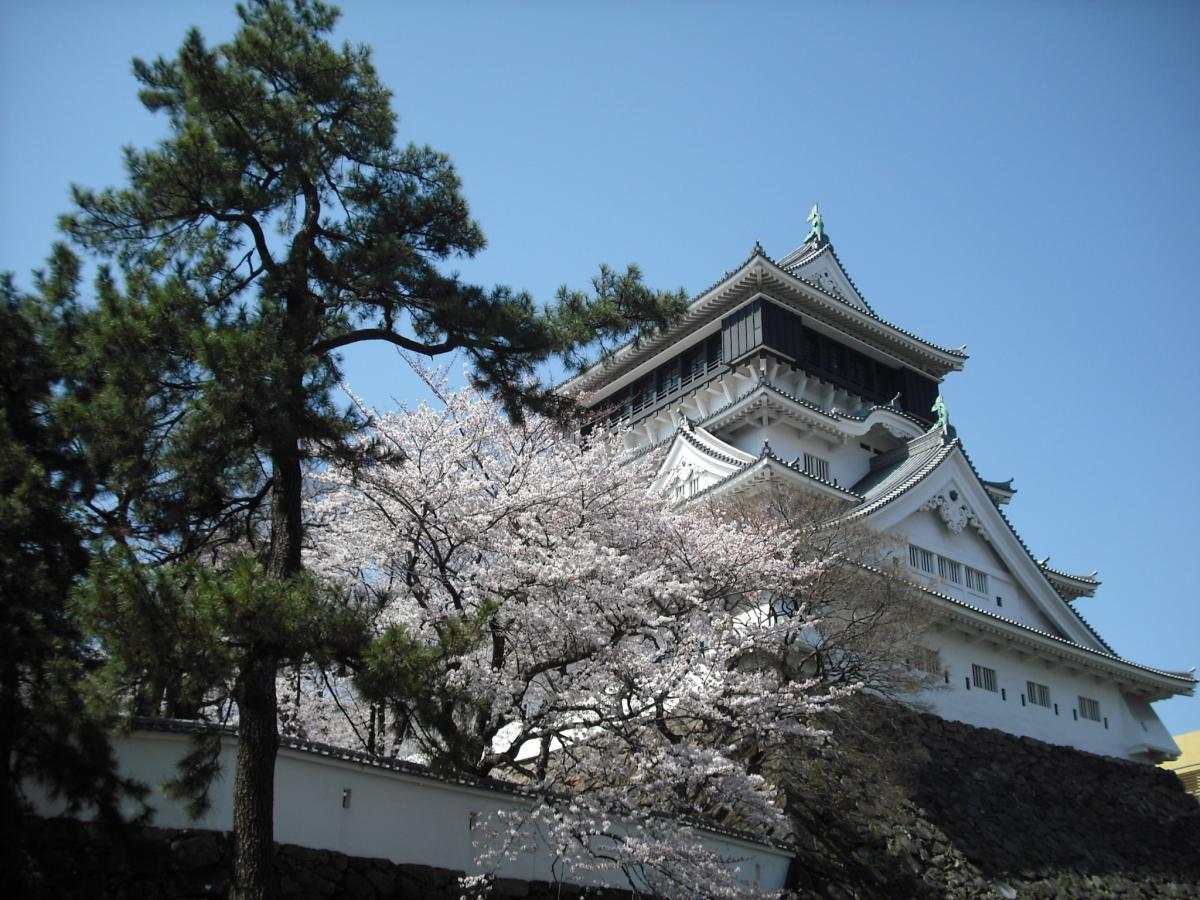 松、桜、小倉城