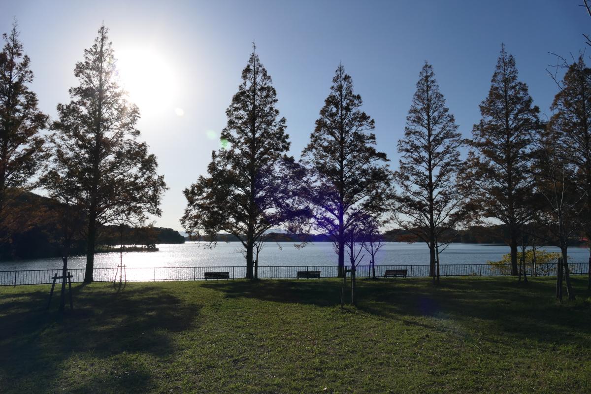 頓田貯水池サイクリングコース