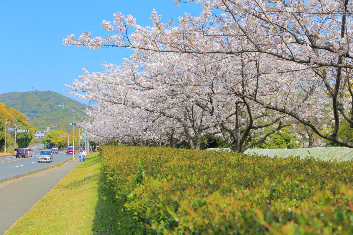 洞海ビオパーク