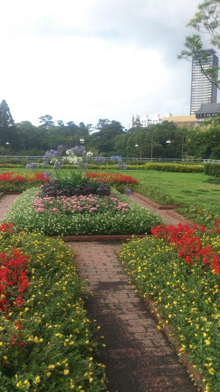 すてきな花壇