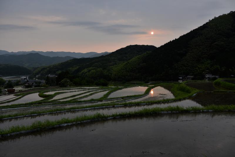 井手浦の夕べ