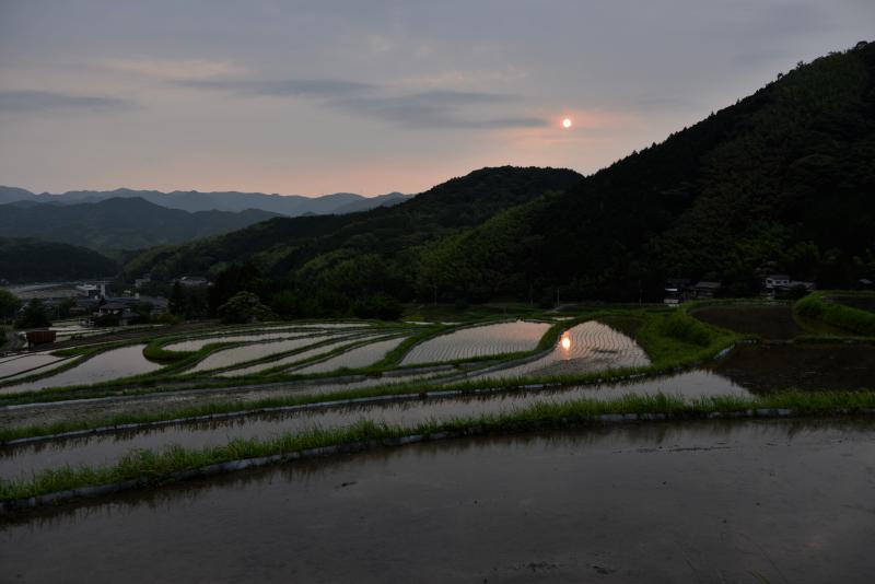 井手浦の夕べ