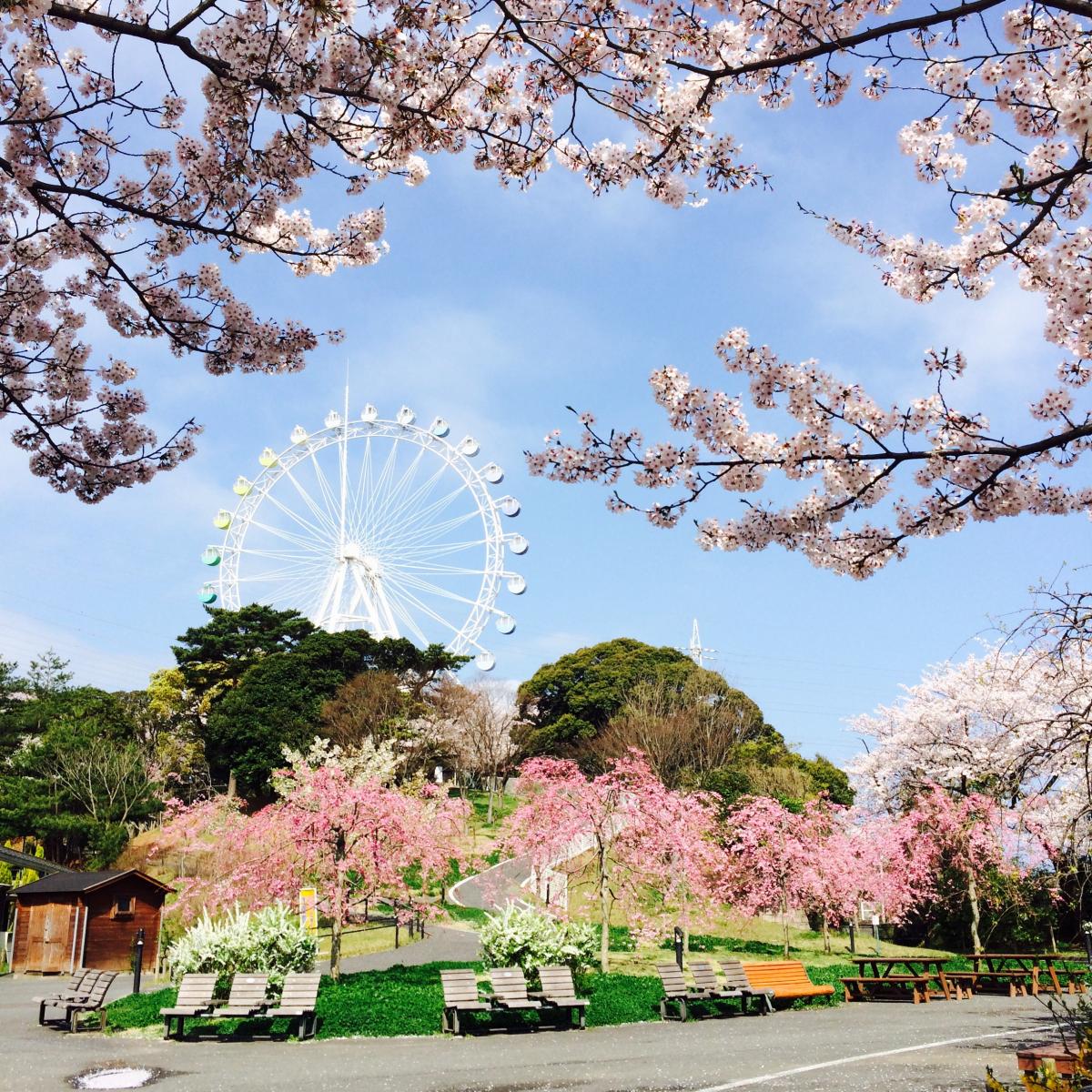 いとうづの森のお花見