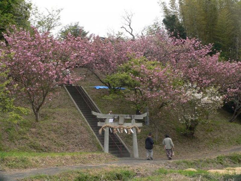 貴船神社の「ほら貝祭」