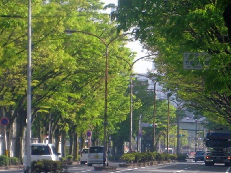 Seicho-dori-Avenue（清張通り）