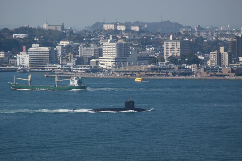 関門海峡でときどき見られます