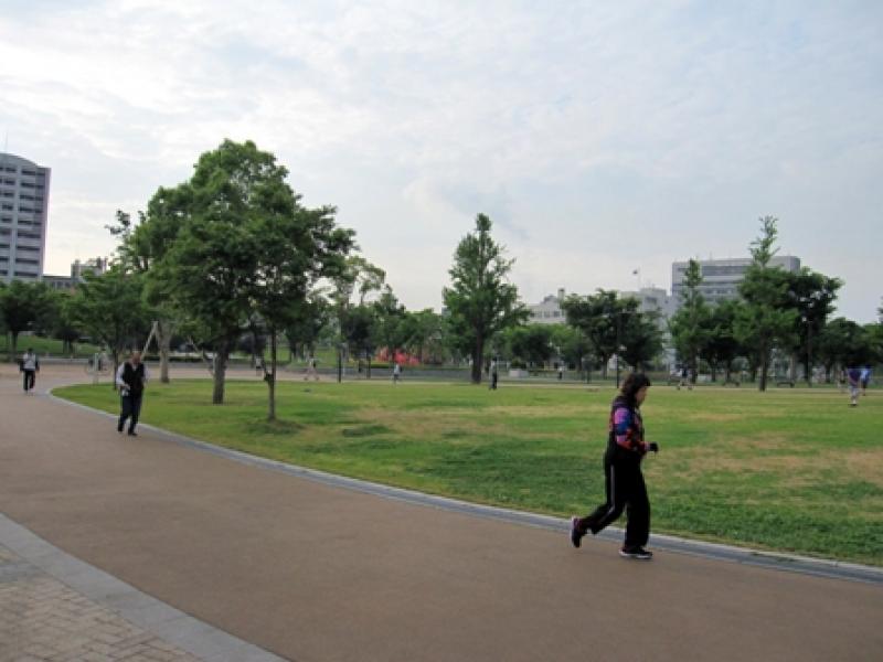ふわふわ、きもちいいです。小倉芝生公園