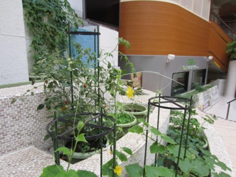 屋上でＨＡＴＡＫＥ！？