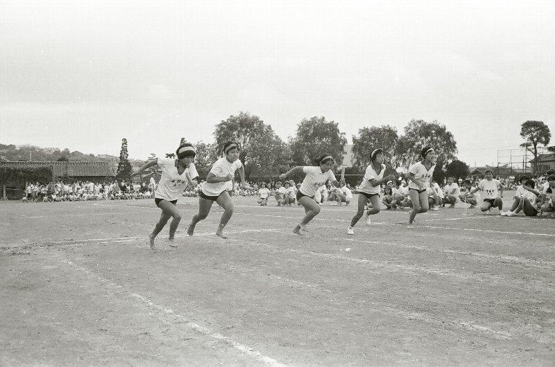 中学校の運動会