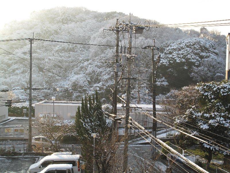雪が降る