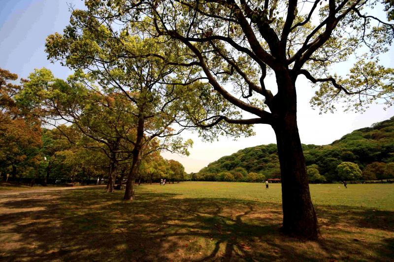 山田緑地