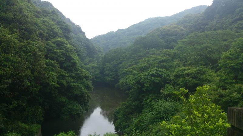 山田緑地の早朝バードウォッチング