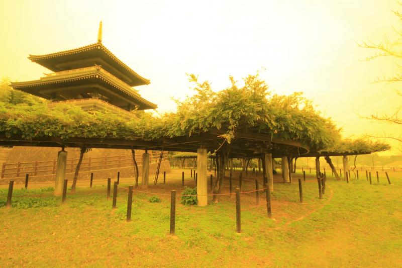 吉祥寺（きっしょうじ）公園