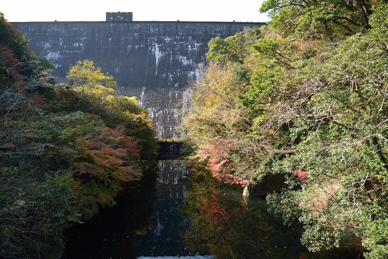 河内貯水池の紅葉