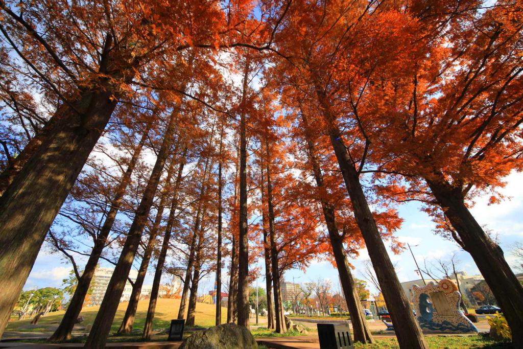 勝山公園