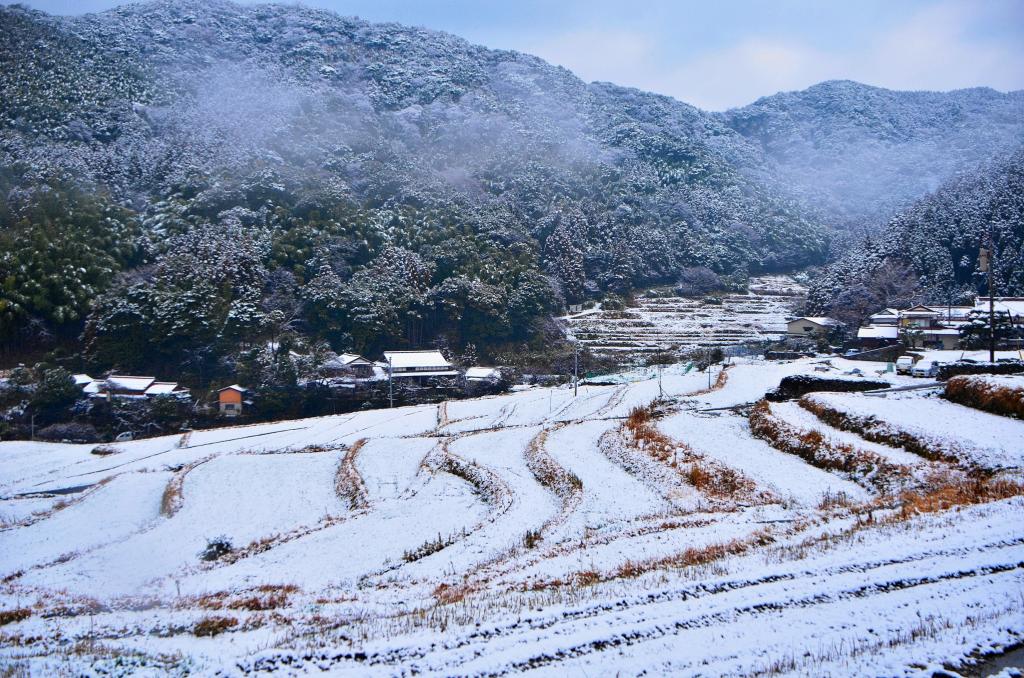 雪景色の棚田