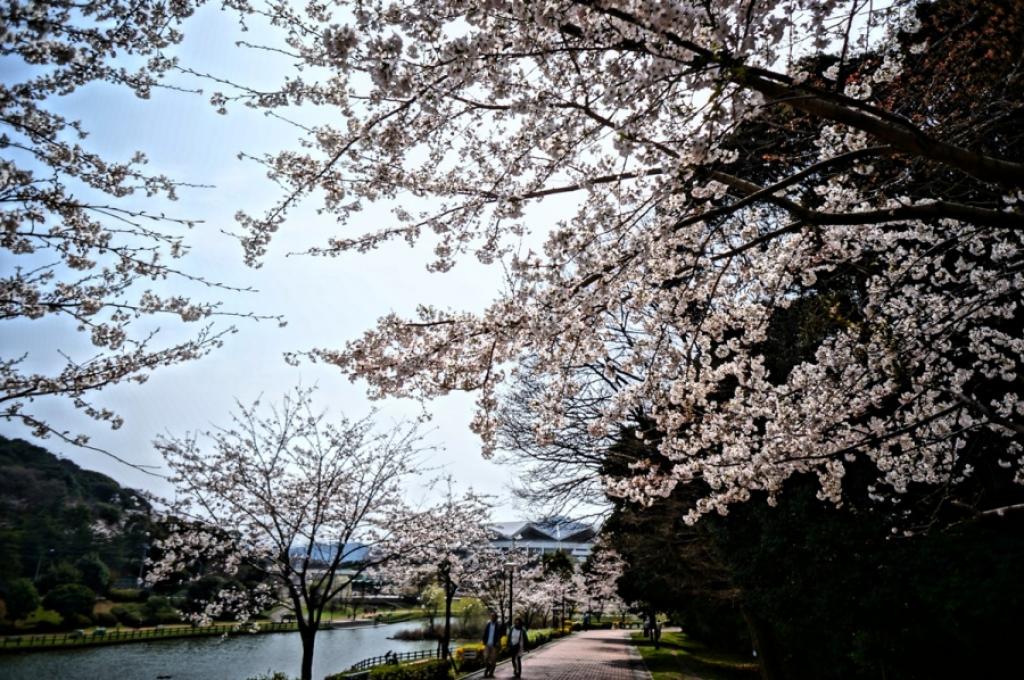 春の北九州総合体育館