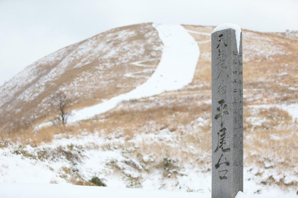 平尾台の雪化粧