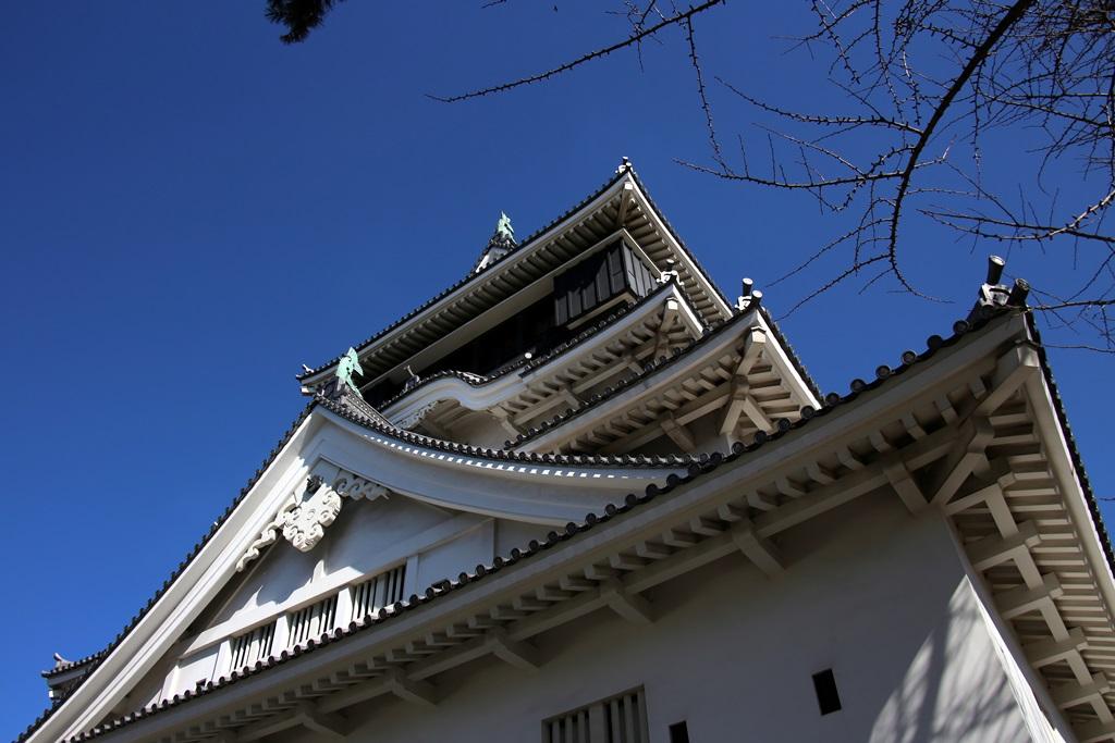 芽桜と小倉城