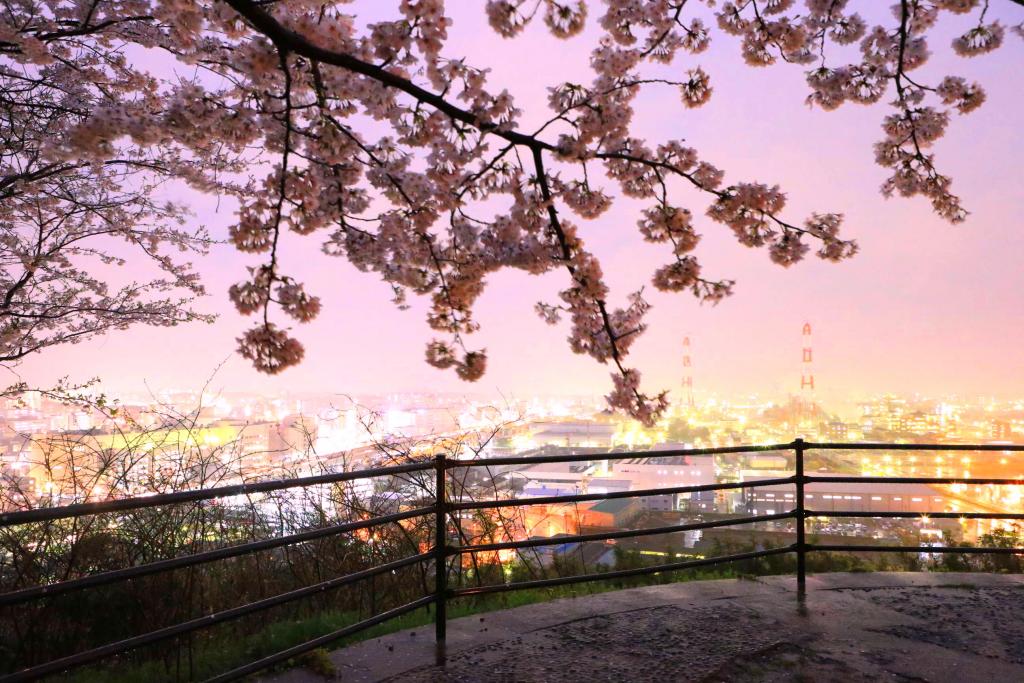 城山緑地に咲く桜