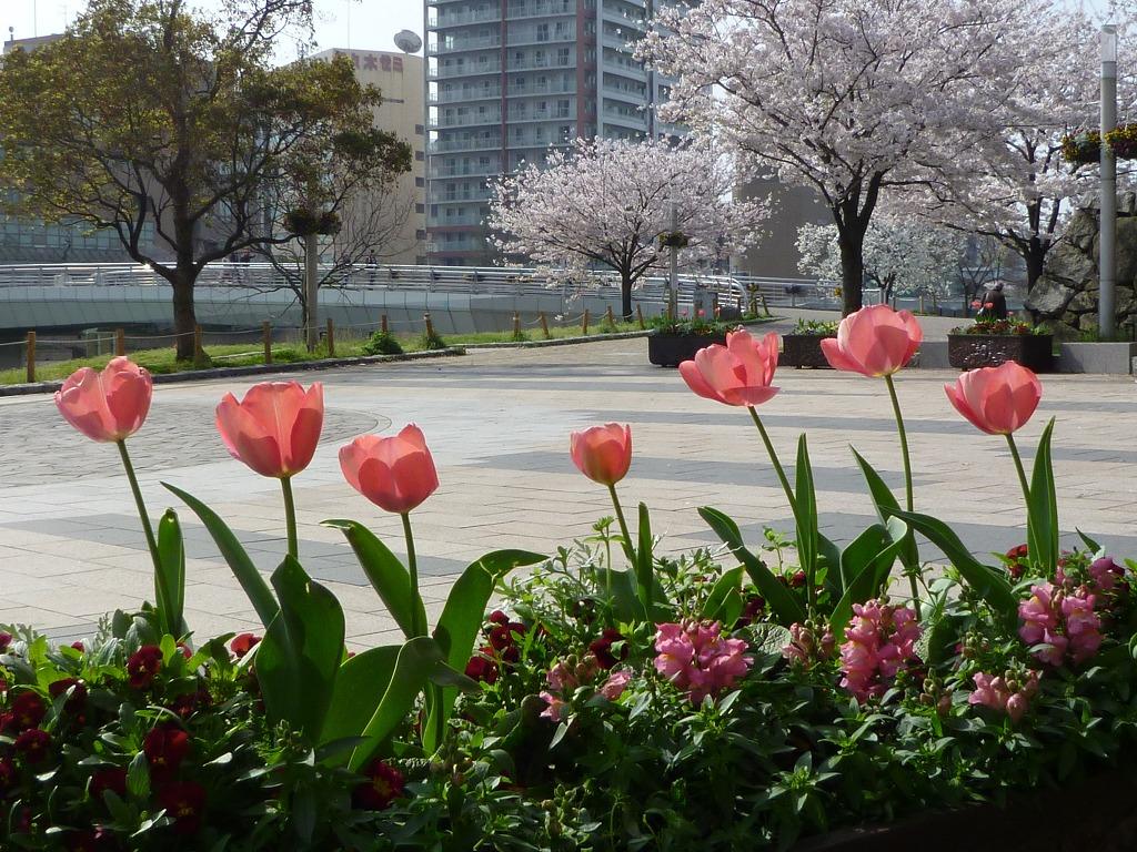 春は花盛り