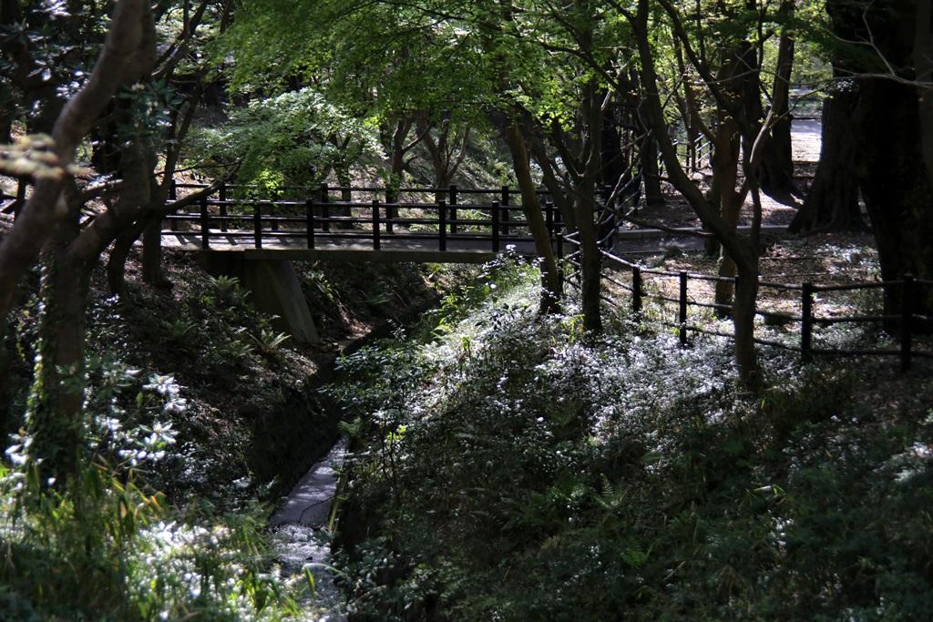 足立山麓の遊歩道