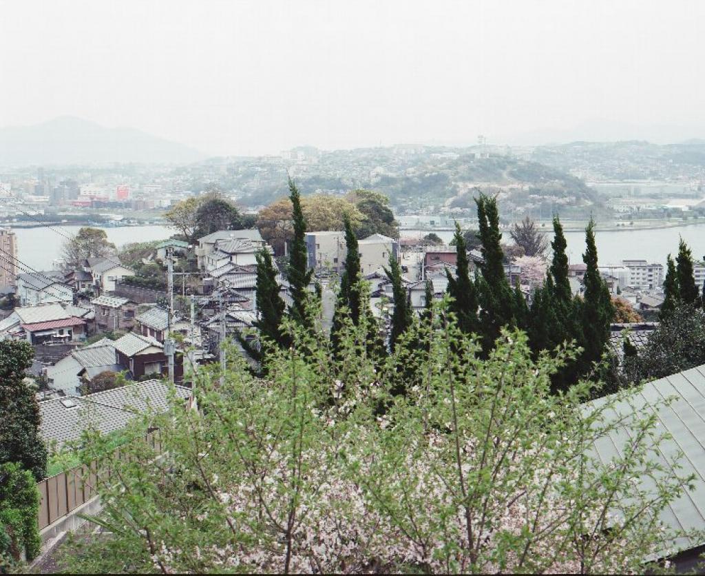 あなろぐ　その6　高野山より