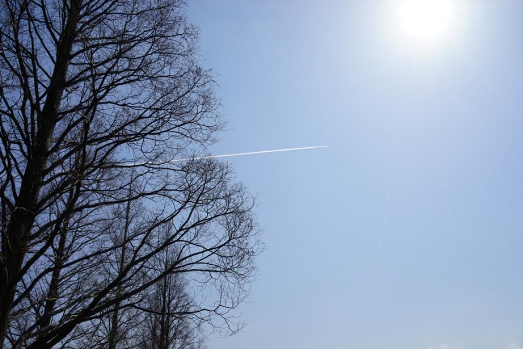 響灘緑地の青い空