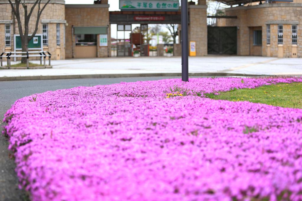 平尾台自然の郷