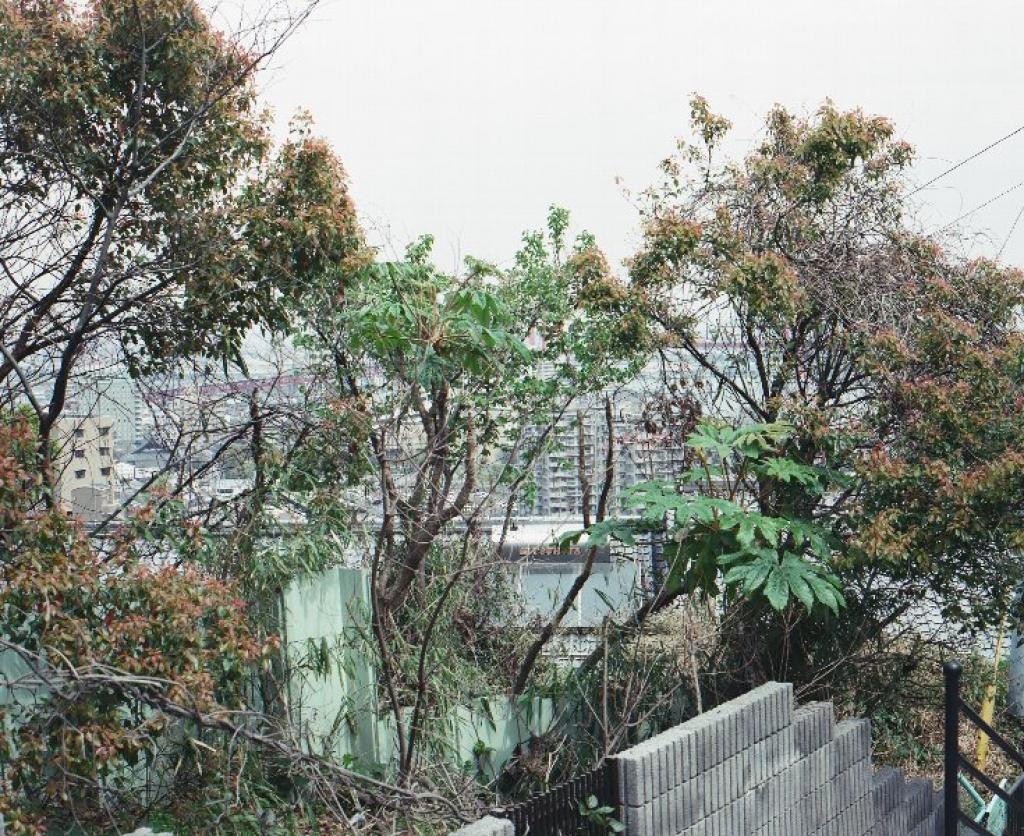 あなろぐ　その8　高野山参道からⅡ