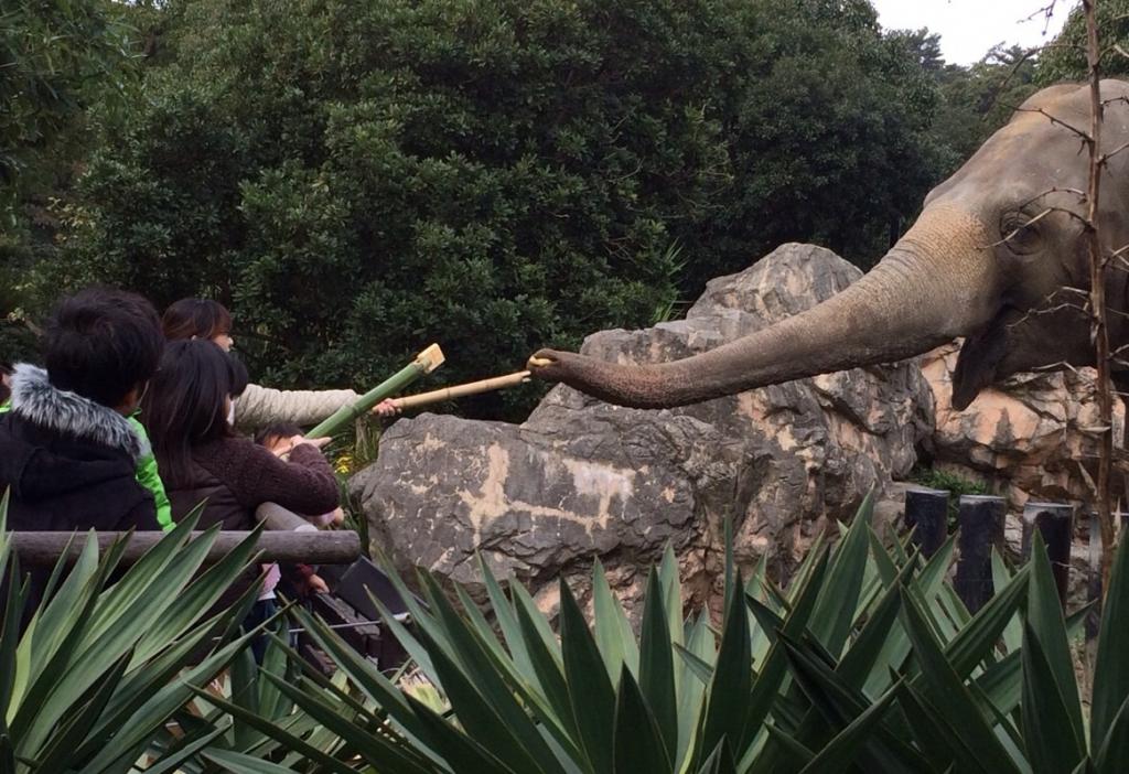 到津の森公園